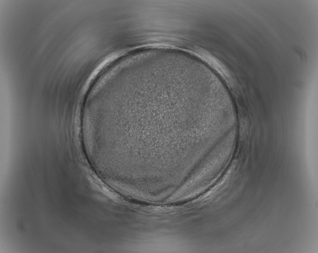 X0000112931240200909071027