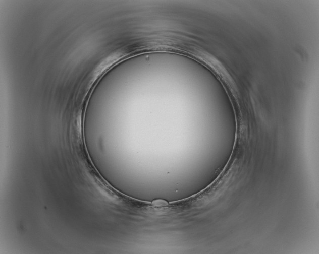 X0000112931242200909071027