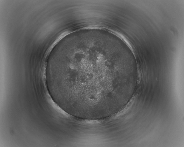 X0000112931243200909071027