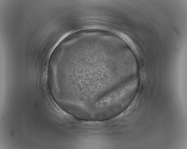 X0000112931244200909071027