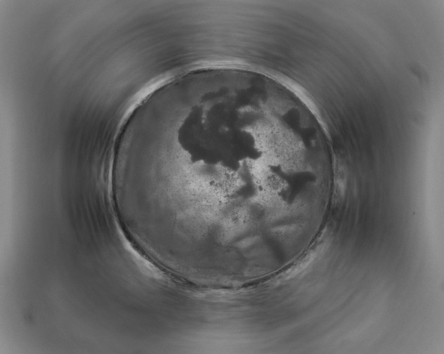 X0000112931245200909071027