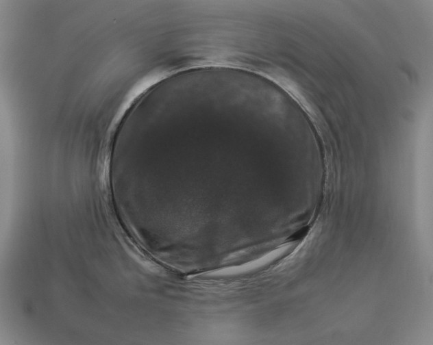 X0000112931246200909071027