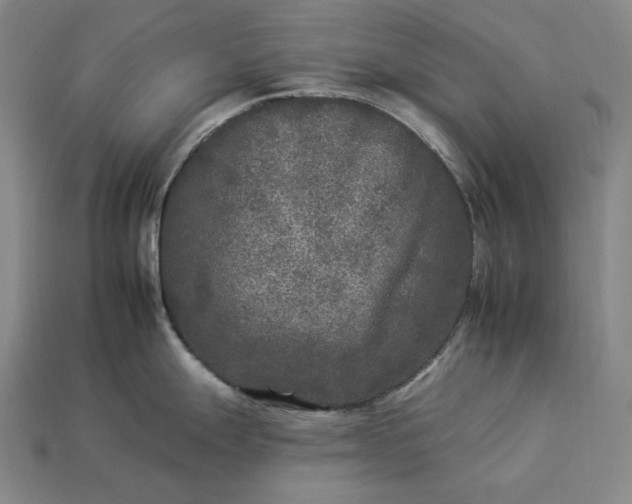 X0000112931247200909071027