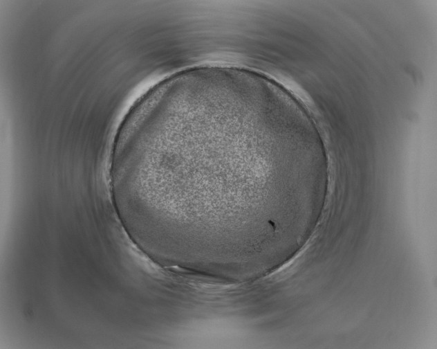 X0000112931248200909071027