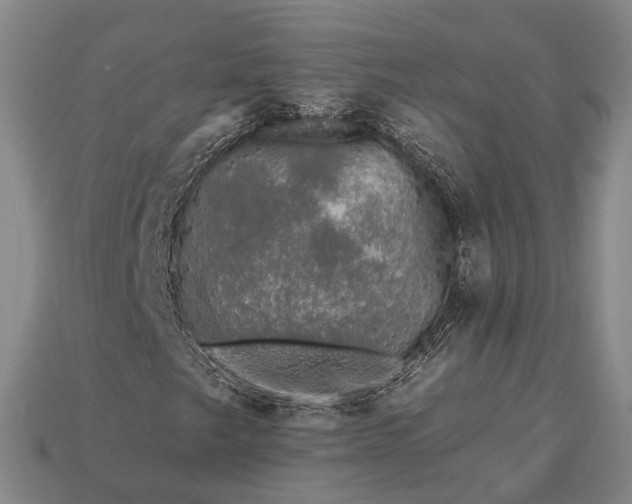 X0000112931249200909071026