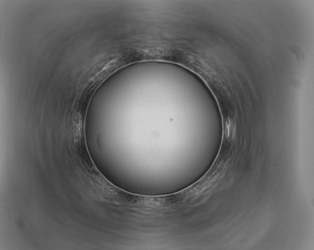 X0000112931251200909071026