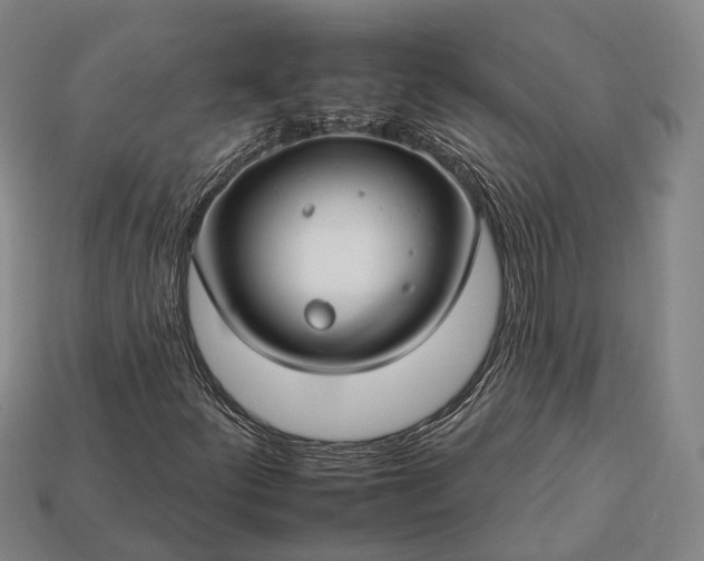 X0000112931252200909071026