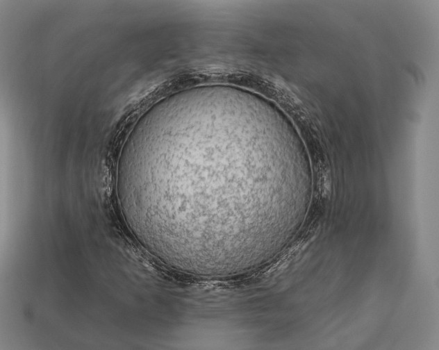 X0000112931253200909071026