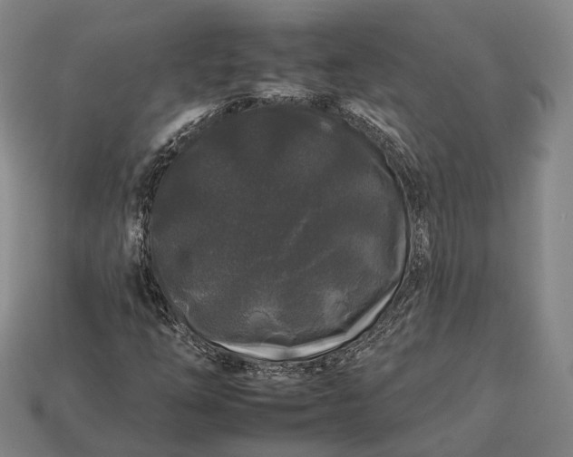 X0000112931254200909071026