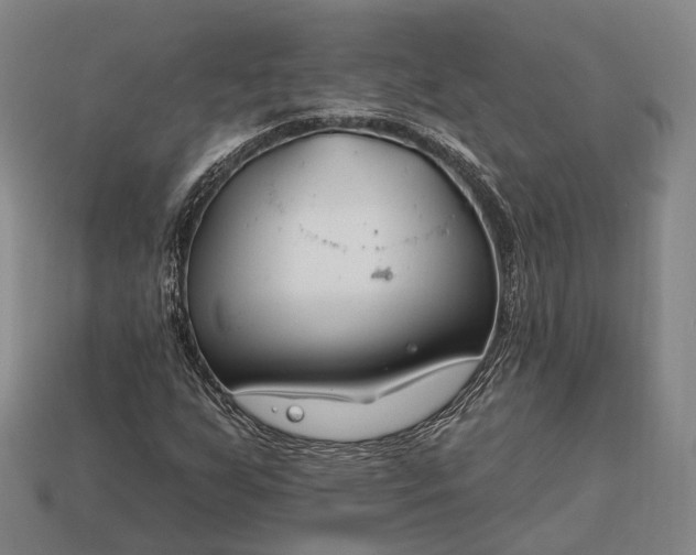 X0000112931255200909071026