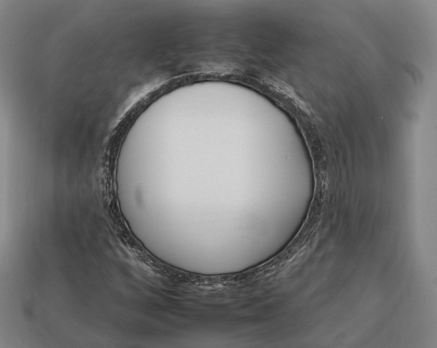 X0000112931256200909071026