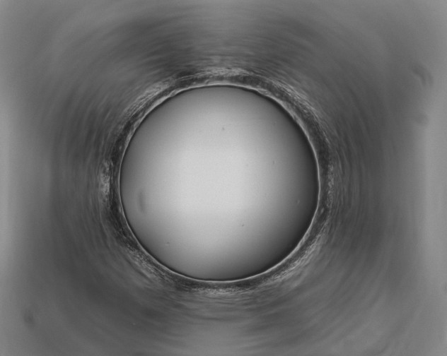 X0000112931257200909071026