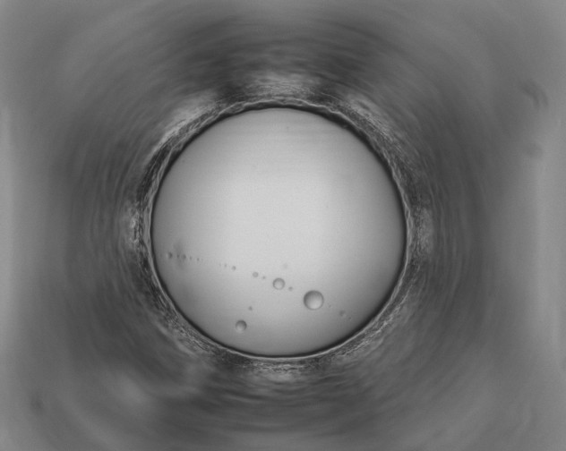 X0000112931258200909071026