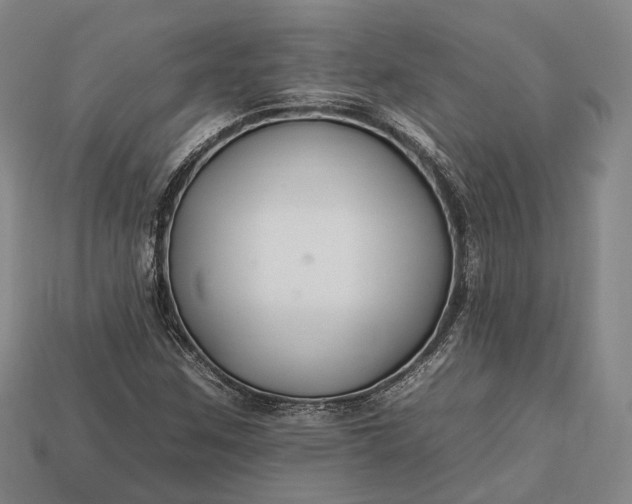 X0000112931259200909071026