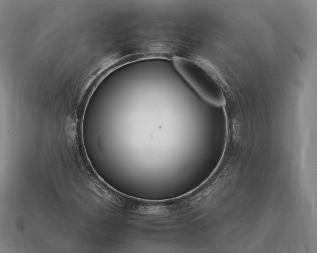 X0000112931260200909071026