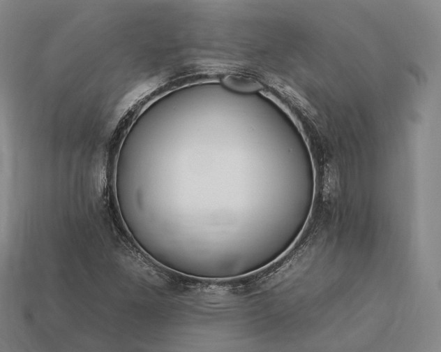 X0000112931261200909071026