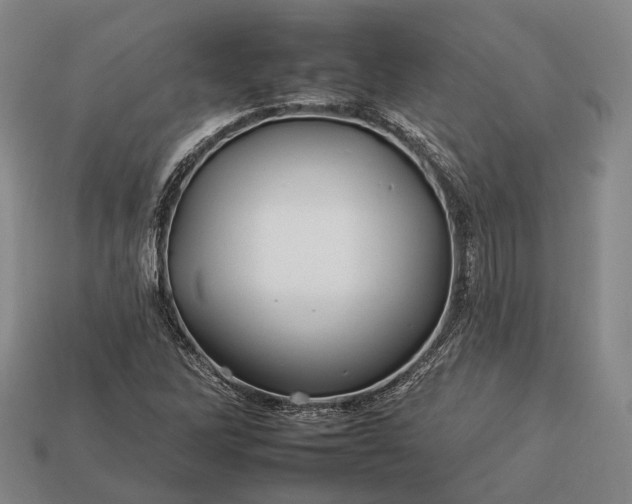 X0000112931262200909071026