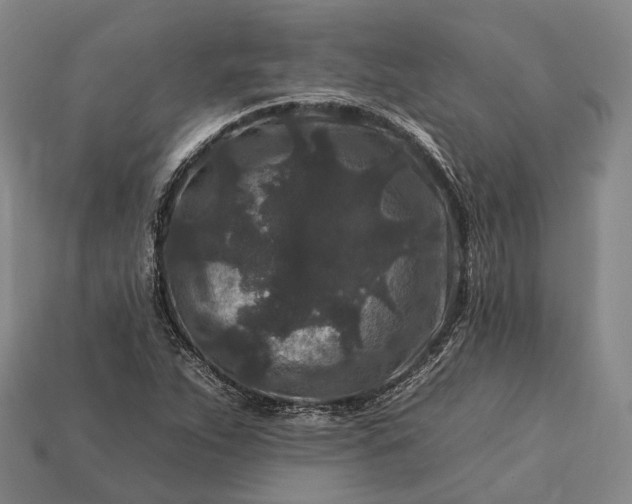 X0000112931263200909071026