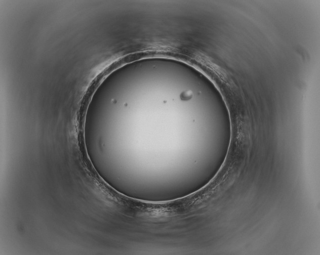 X0000112931264200909071026