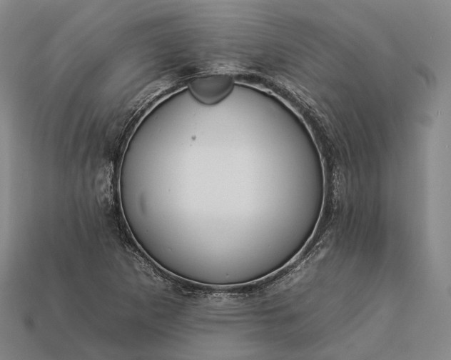 X0000112931265200909071026