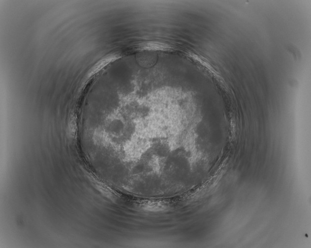 X0000112931266200909071026