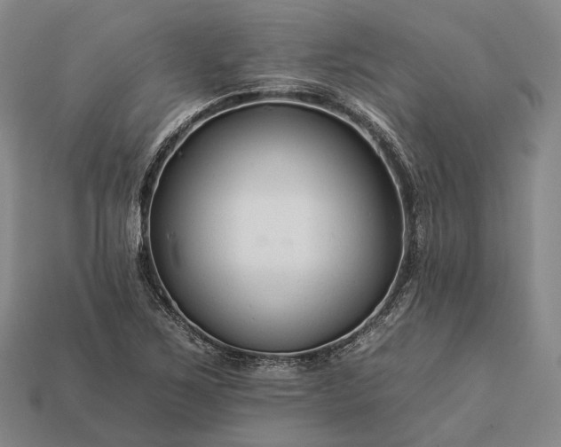 X0000112931267200909071026