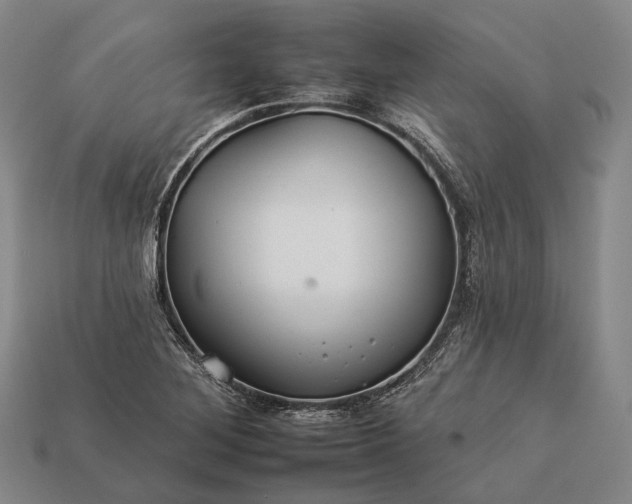 X0000112931268200909071026