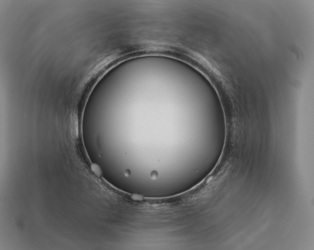 X0000112931269200909071026