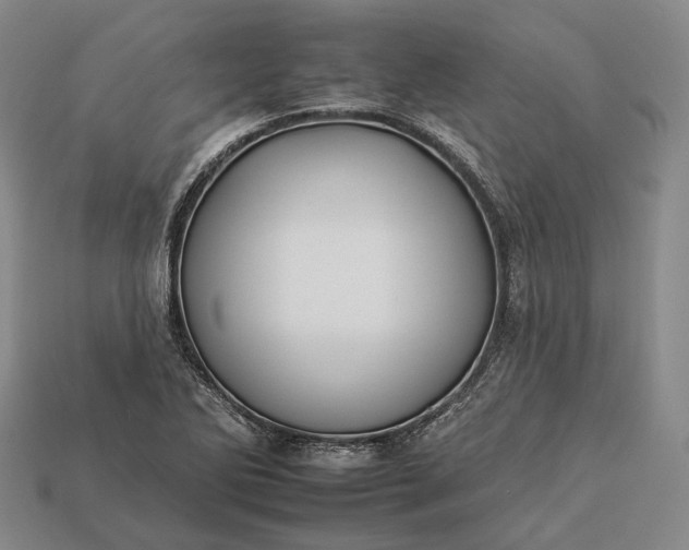 X0000112931270200909071026