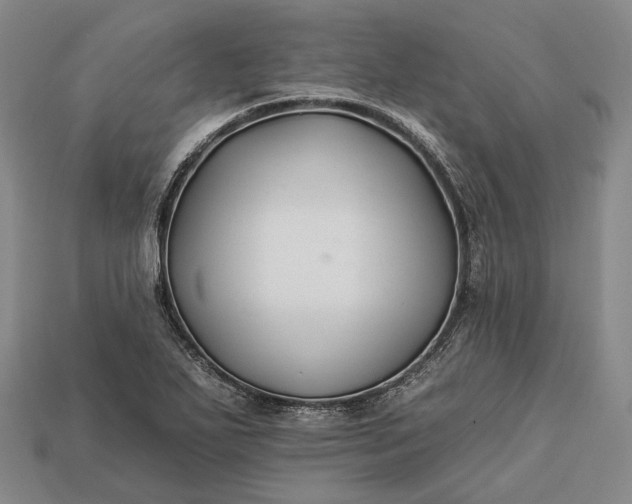 X0000112931271200909071026