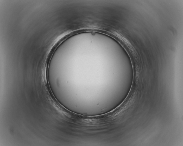 X0000112931272200909071026