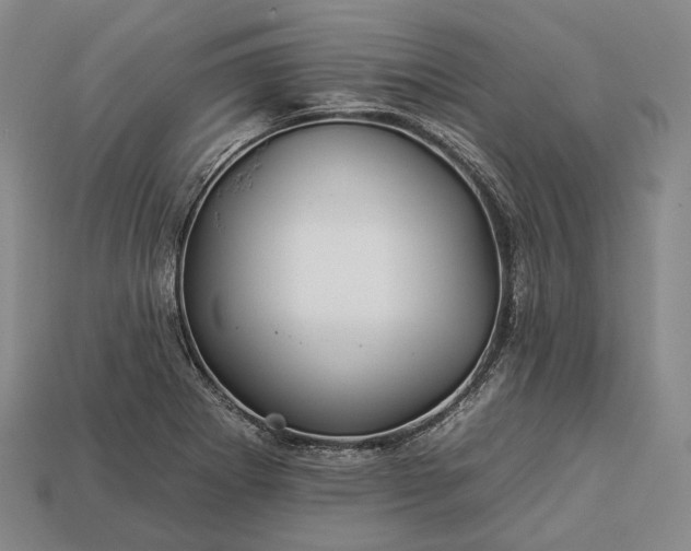 X0000112931273200909071026