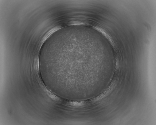 X0000112931274200909071026