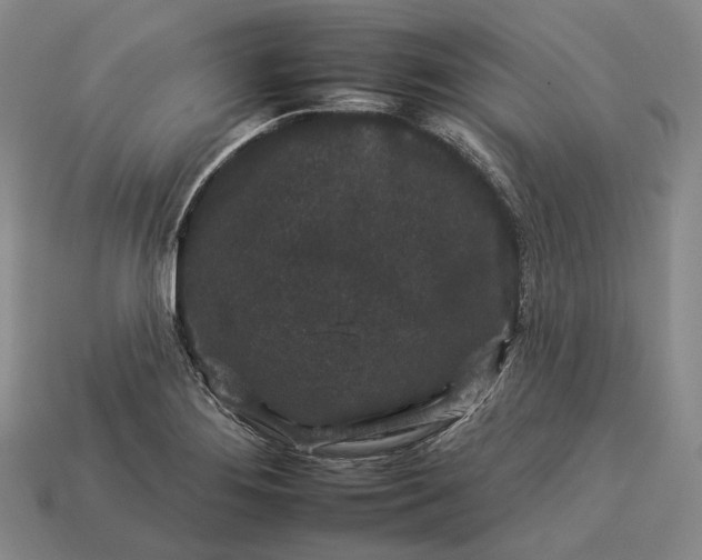 X0000112931276200909071026