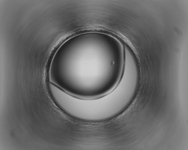 X0000112931277200909071026