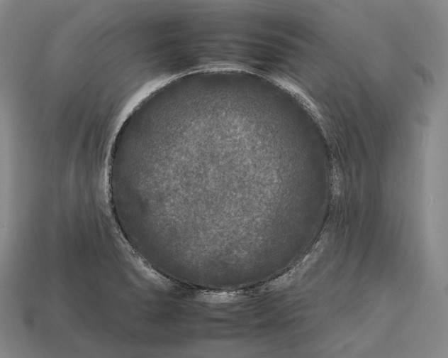 X0000112931278200909071026