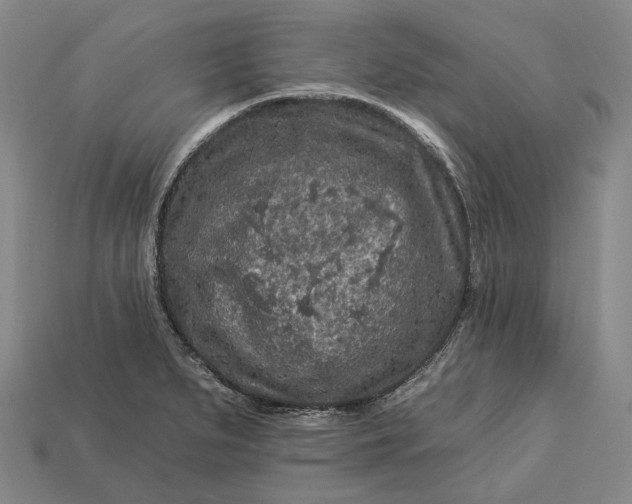 X0000112931279200909071026