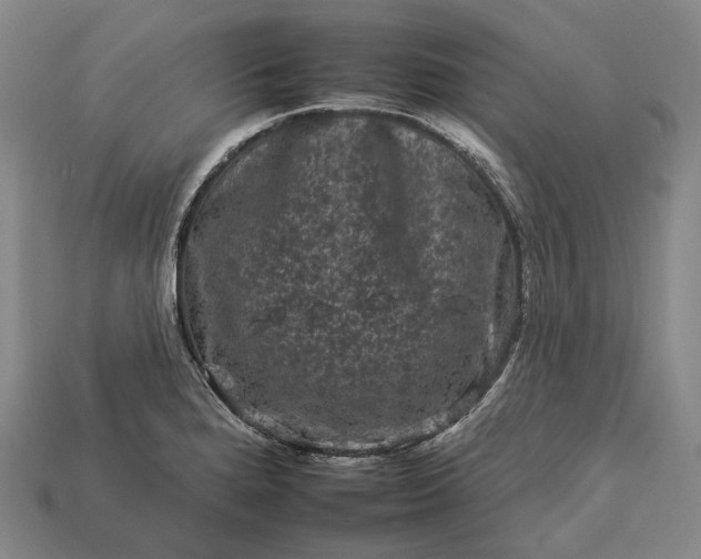 X0000112931280200909071026