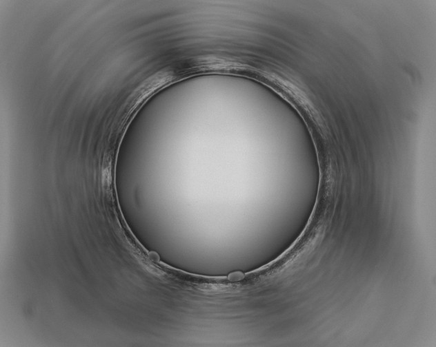 X0000112931281200909071026