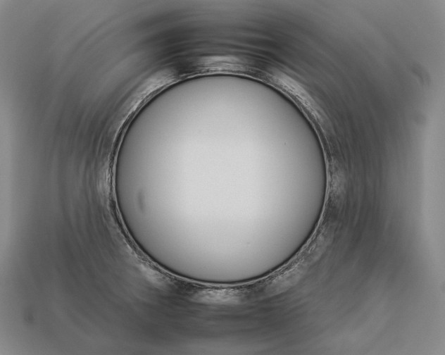 X0000112931282200909071026