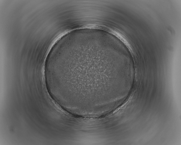 X0000112931283200909071026