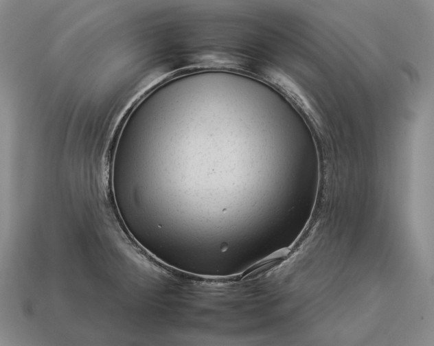 X0000112931284200909071026