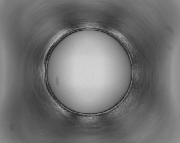 X0000112931286200909071026