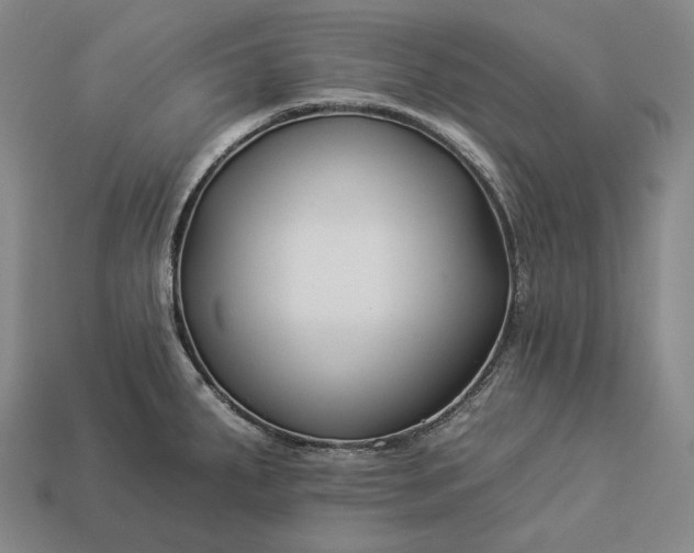 X0000112931287200909071026