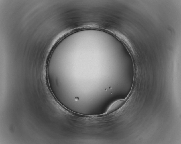 X0000112931288200909071026