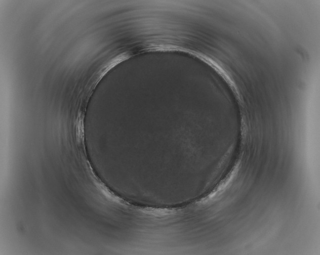 X0000112931289200909071026