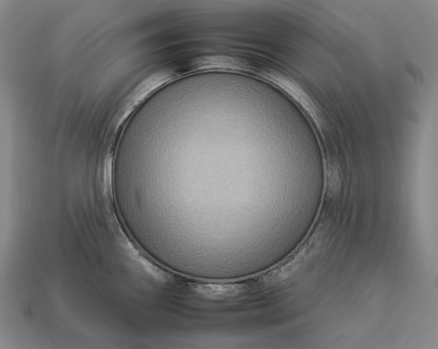 X0000112931290200909071026