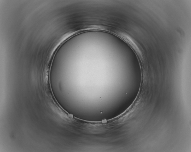 X0000112931292200909071025