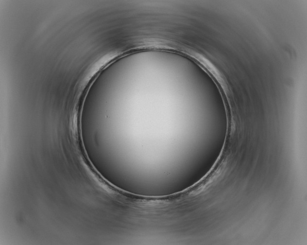 X0000112931293200909071025