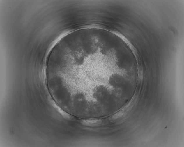 X0000112931294200909071025